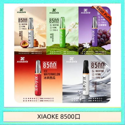 梟客XIAOKE一次性電子菸拋棄式8500口
